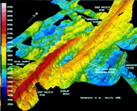 Consultancy, Management and Supervision of Offshore Surveys